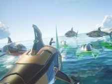 Shark Ships